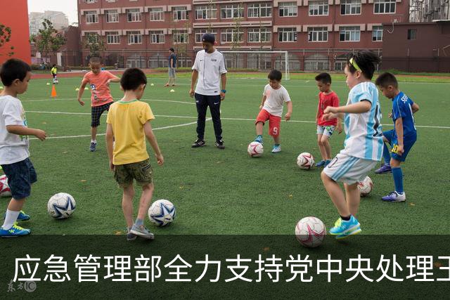 应急管理部全力支持党中央处理王祥喜案件的决策
